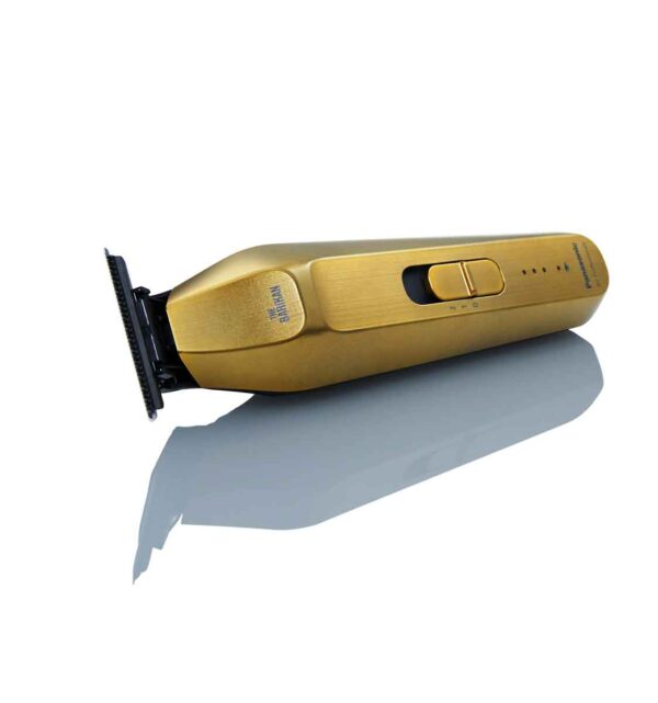 panasonic-barikan-gold-horizontale